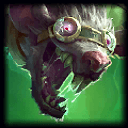champion image